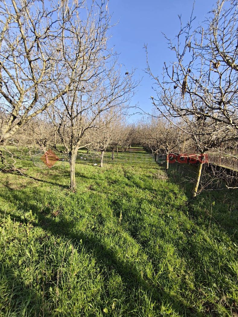 Terreno Agricolo in vendita a Mercato San Severino