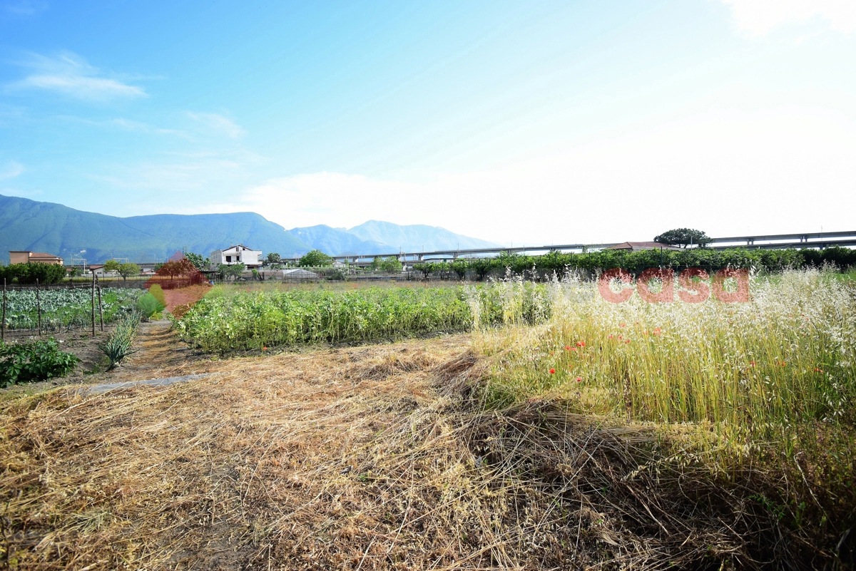 Terreno Agricolo in vendita a Nocera Inferiore