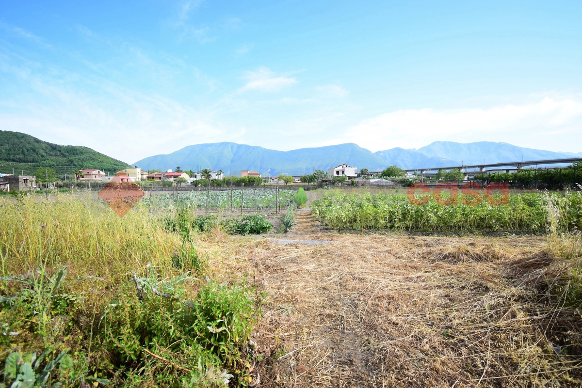 Terreno Agricolo in vendita a Nocera Inferiore