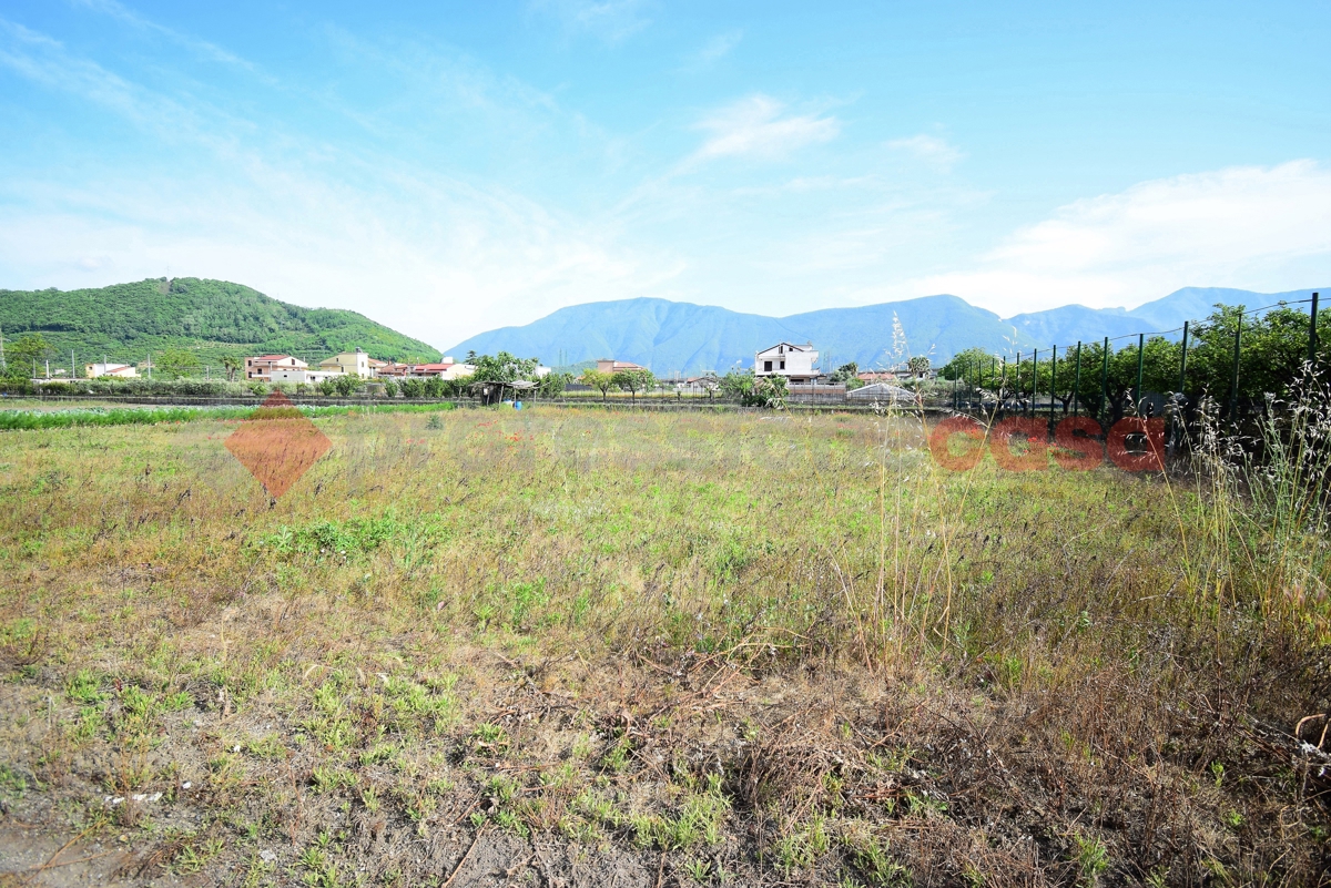 Terreno Agricolo in vendita a Nocera Inferiore