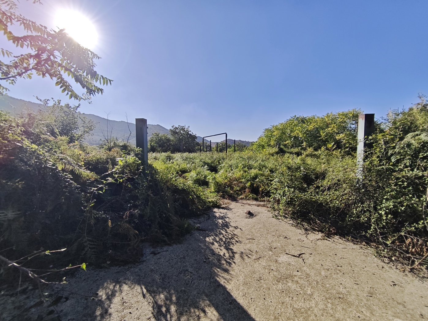 Terreno Agricolo in vendita a Mercato San Severino
