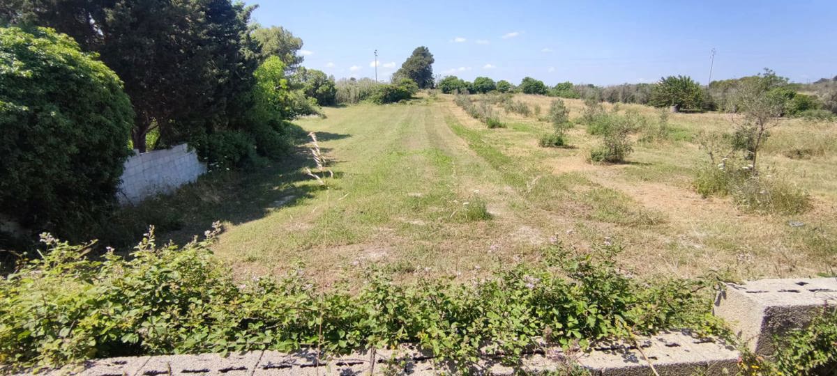 Terreno Agricolo in vendita a Uggiano La Chiesa