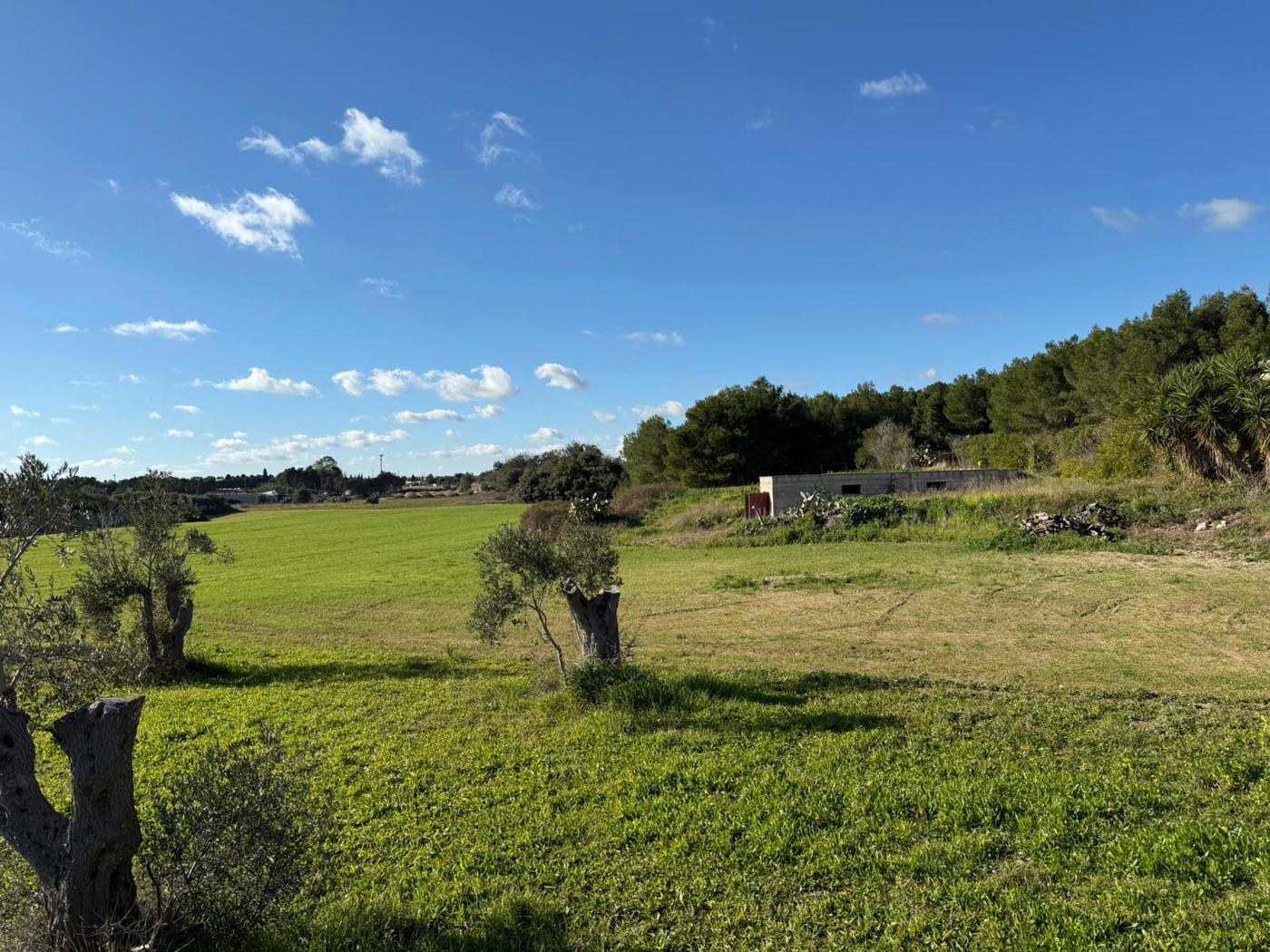 Terreno Edificabile in vendita a Uggiano La Chiesa