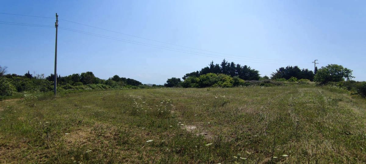 Terreno Agricolo in vendita a Uggiano La Chiesa