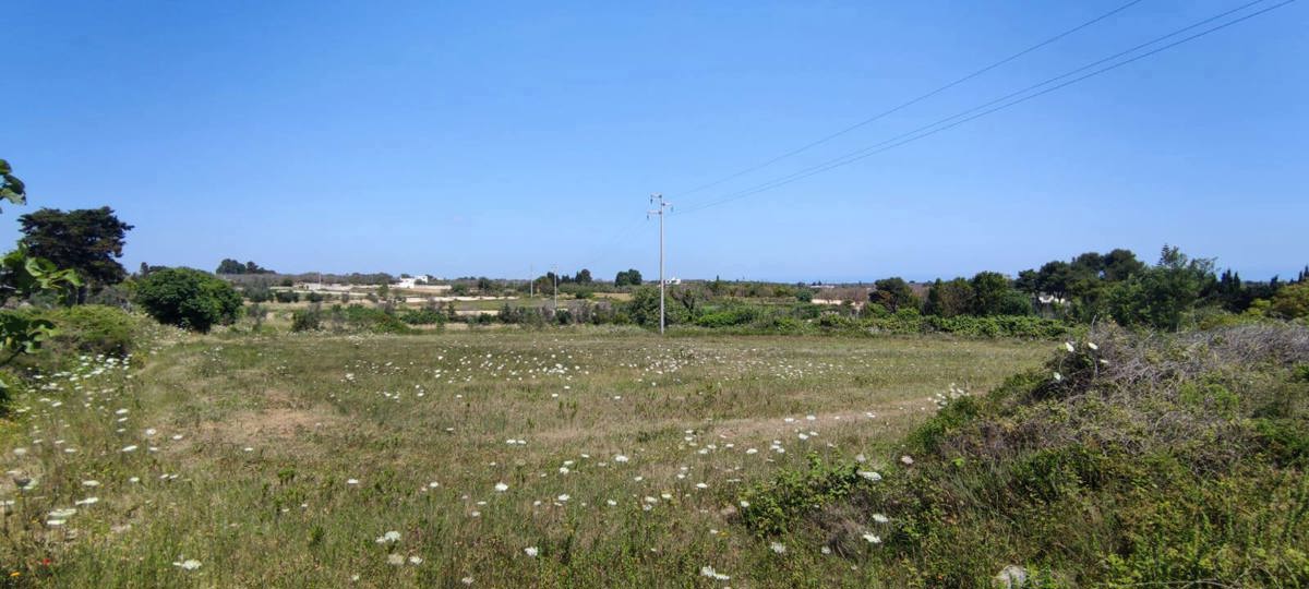 Terreno Agricolo in vendita a Uggiano La Chiesa