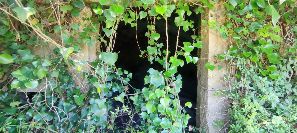 Terreno Agricolo in vendita a Uggiano La Chiesa