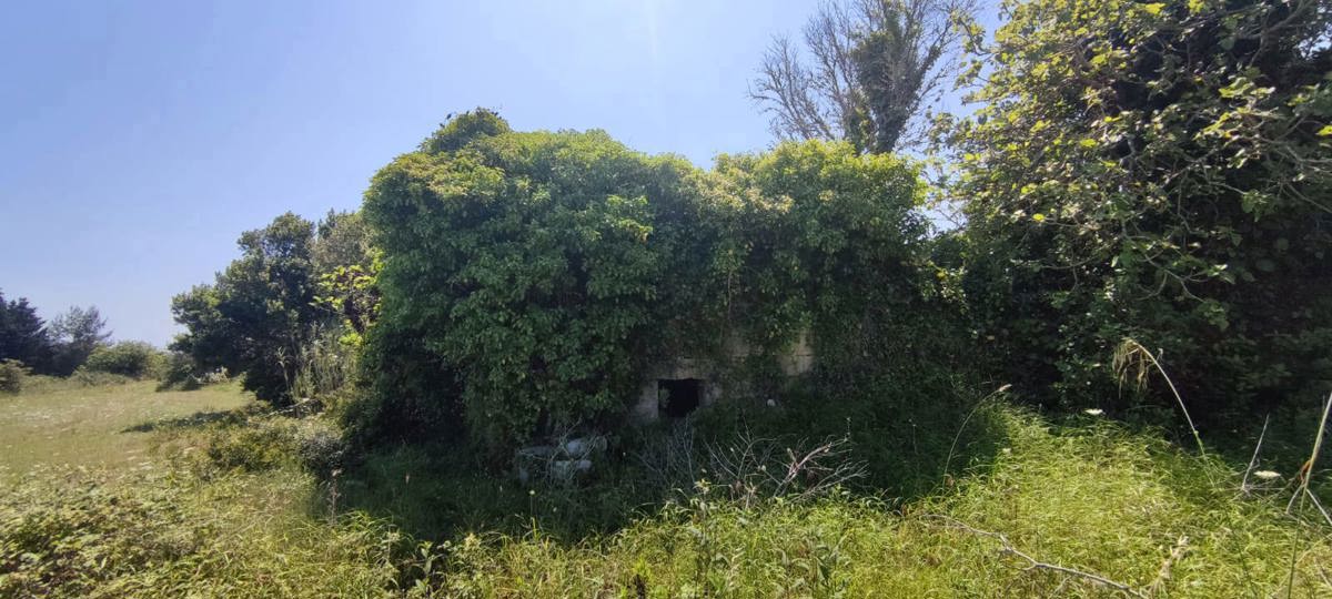 Terreno Agricolo in vendita a Uggiano La Chiesa