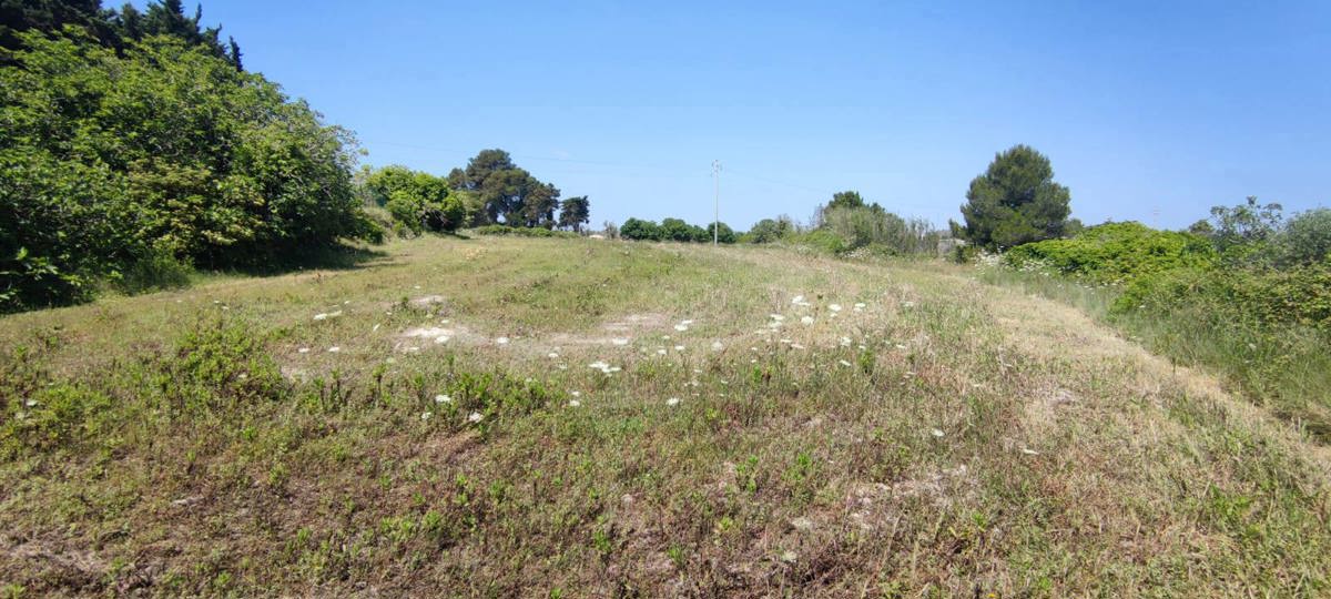 Terreno Agricolo in vendita a Uggiano La Chiesa