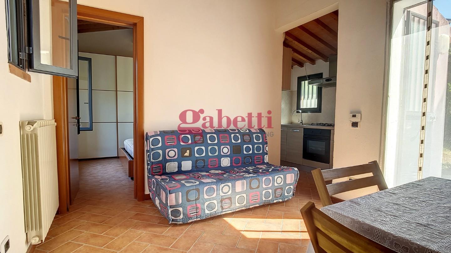 Bilocale arredato in affitto, Pisa cisanello