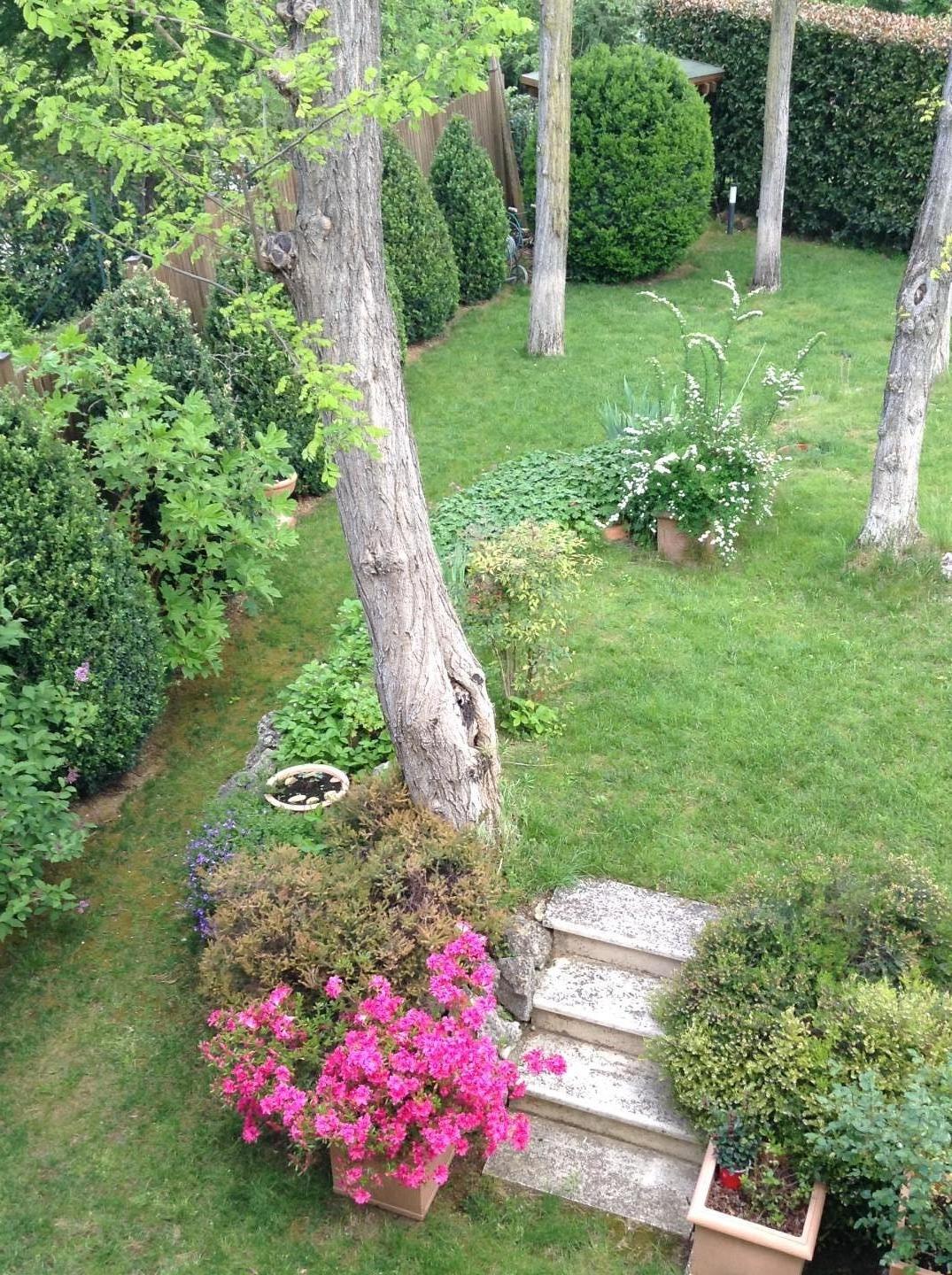 Rustico con giardino, Poggibonsi staggia