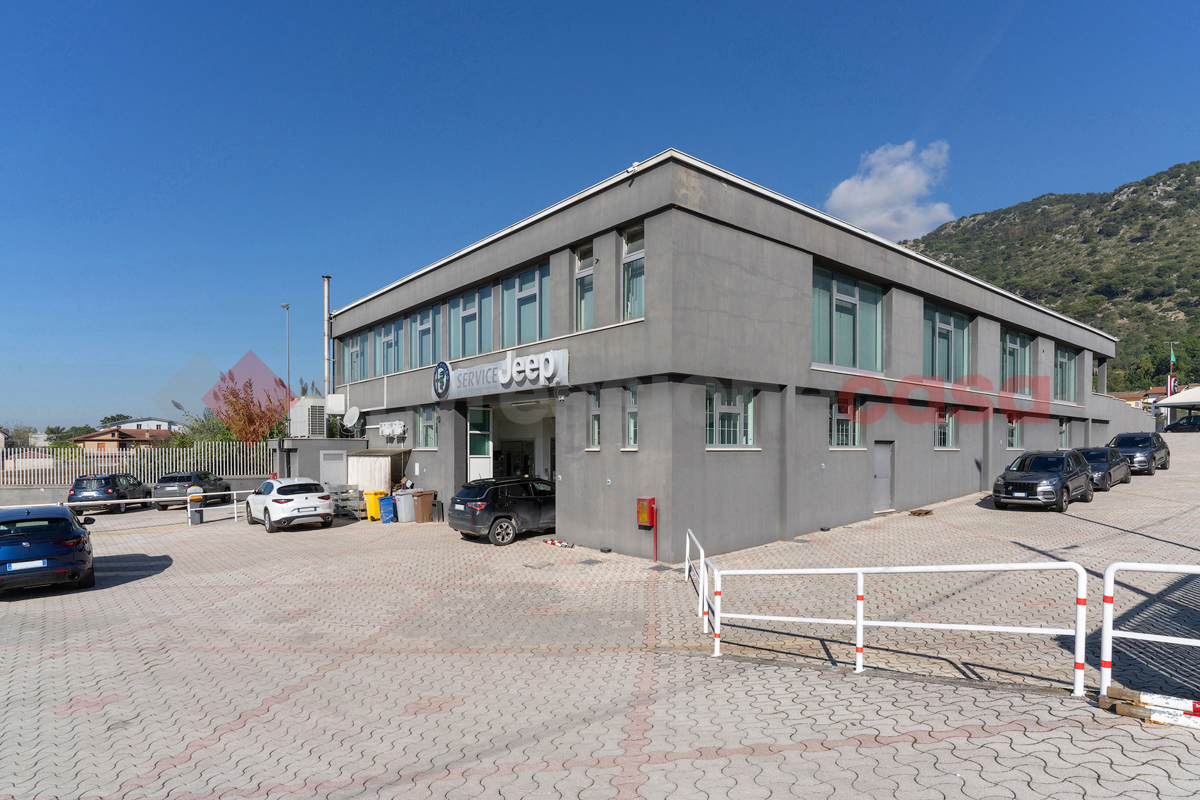 Negozio in affitto a Cassino