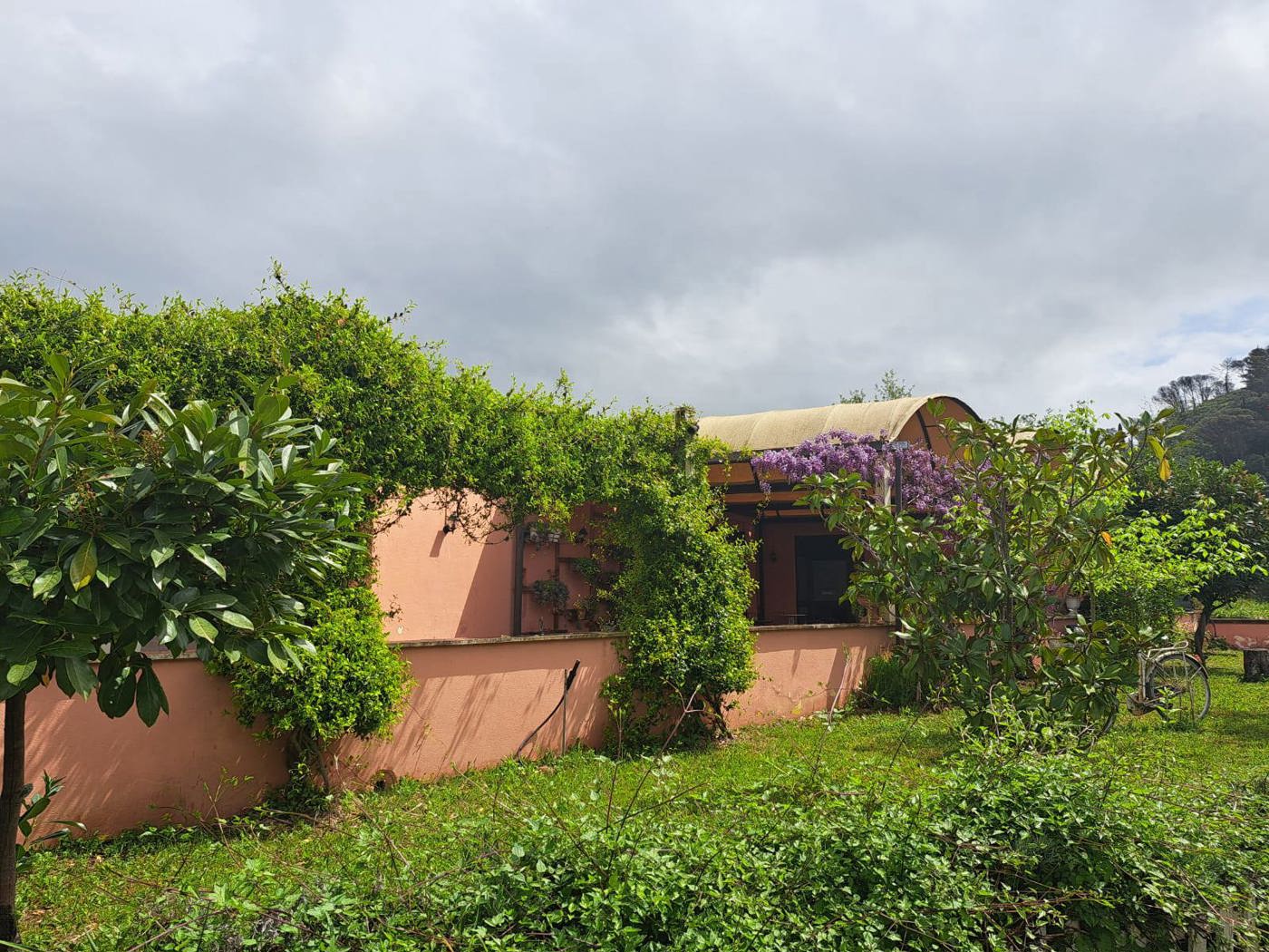 Negozio in affitto a Cassino