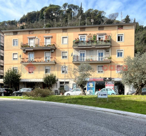 Monolocale in affitto a Cassino