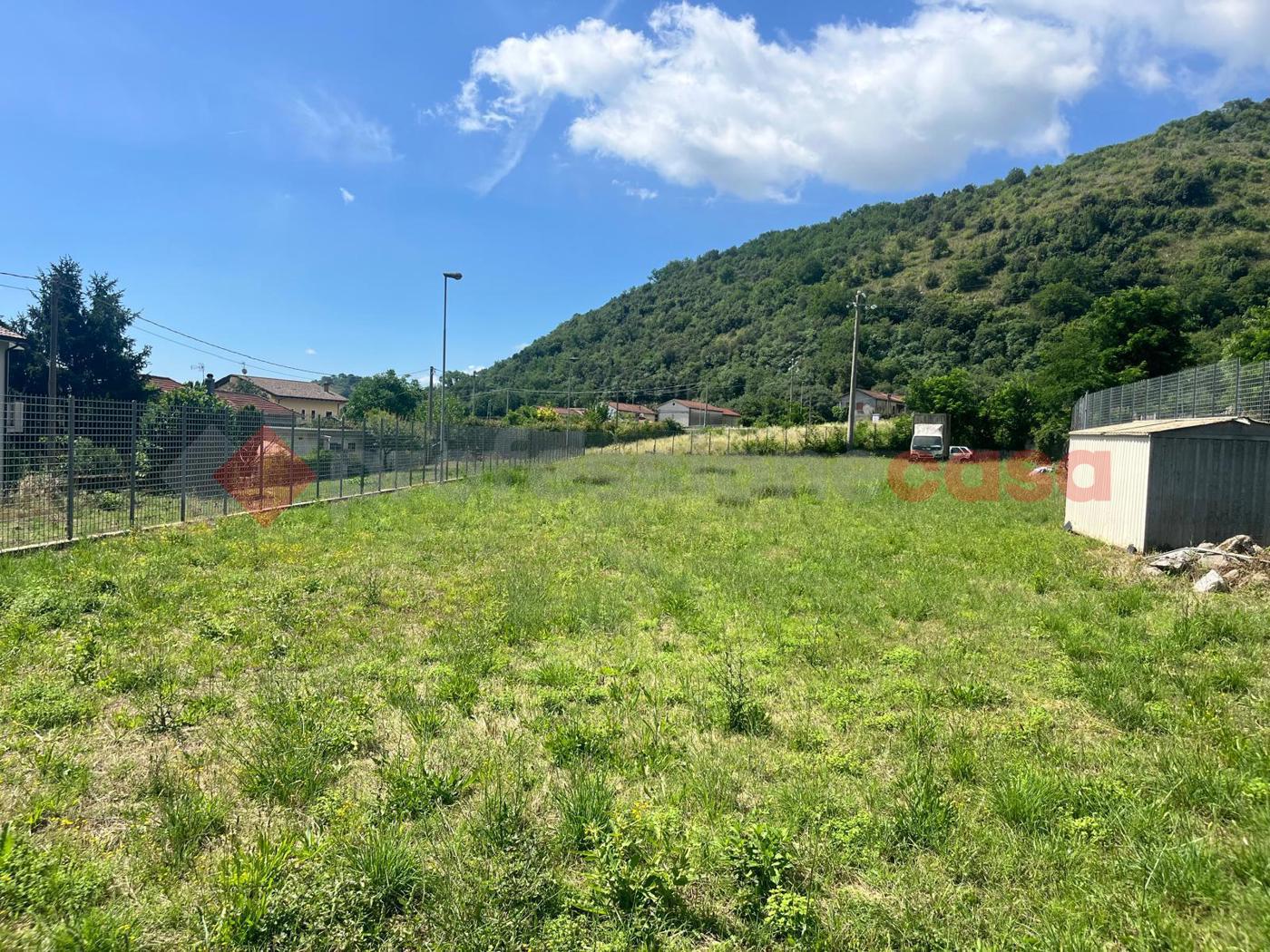 Terreno Agricolo in affitto a Cassino