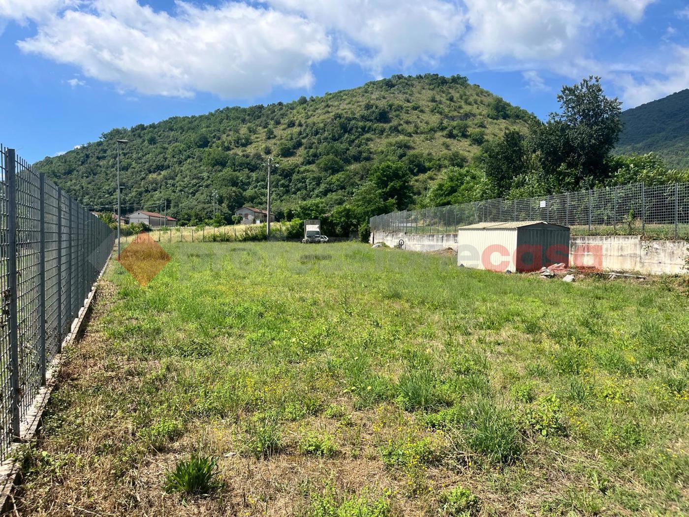 Terreno Agricolo in affitto a Cassino