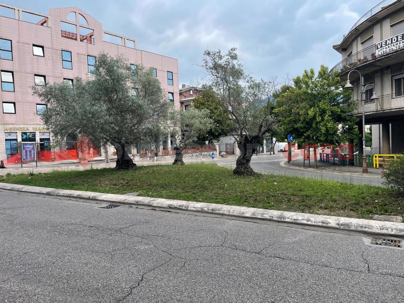 Negozio in affitto a Cassino
