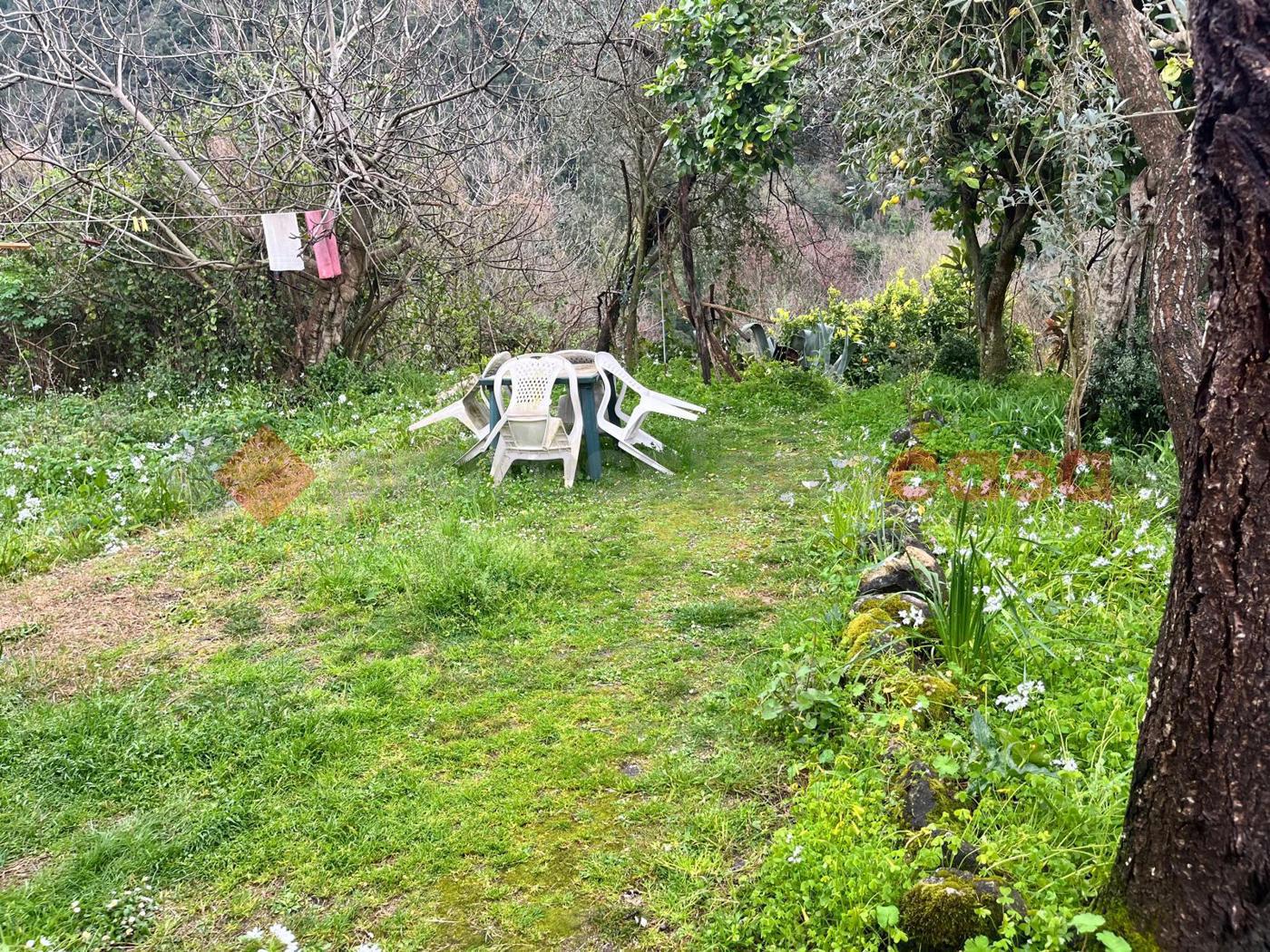 Casa indipendente in vendita a Sant'Elia Fiumerapido