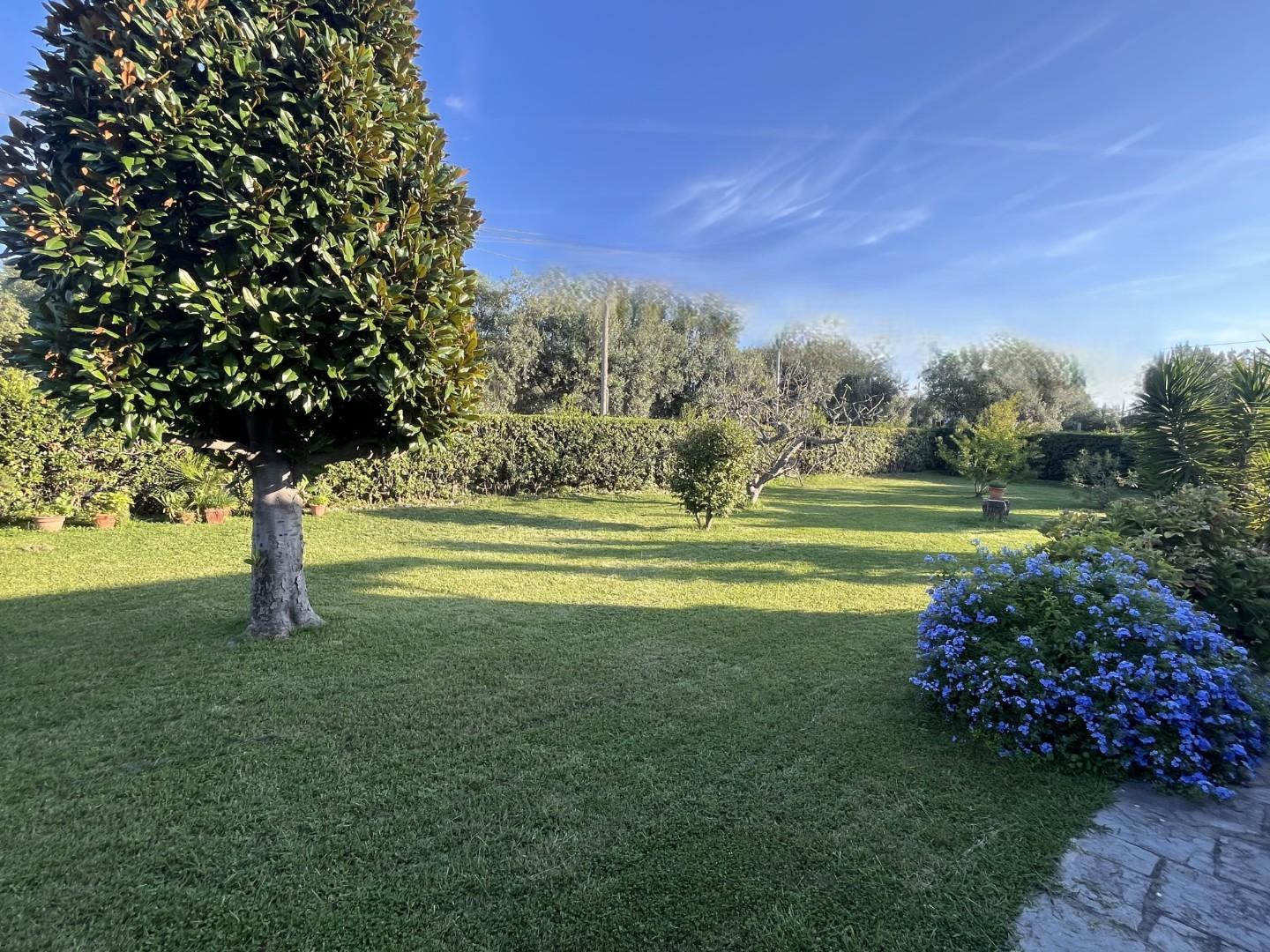 casa indipendente in vendita a Seravezza in zona Querceta