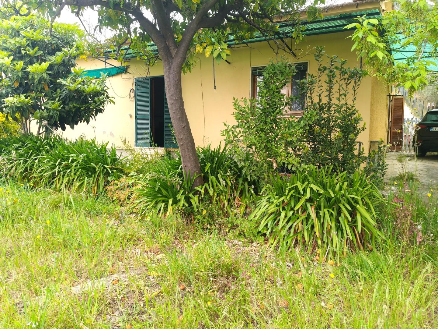 Villa con giardino, Pietrasanta strettoia