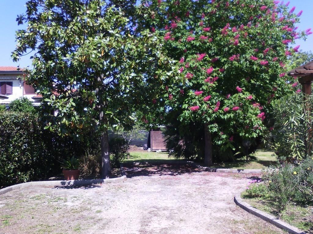 Casa indipendente con giardino, Pietrasanta tonfano