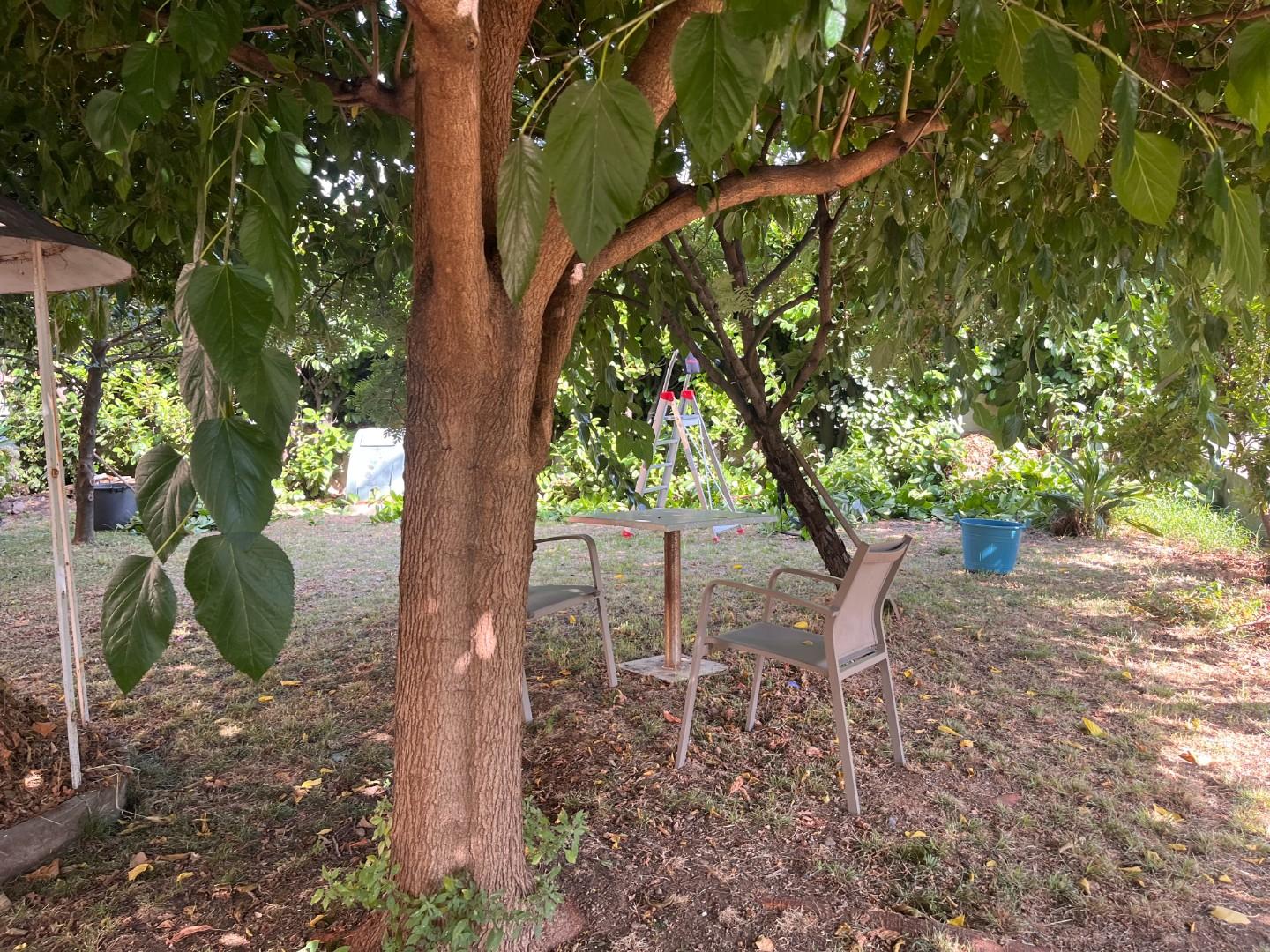 Casa indipendente con giardino, Seravezza ripa