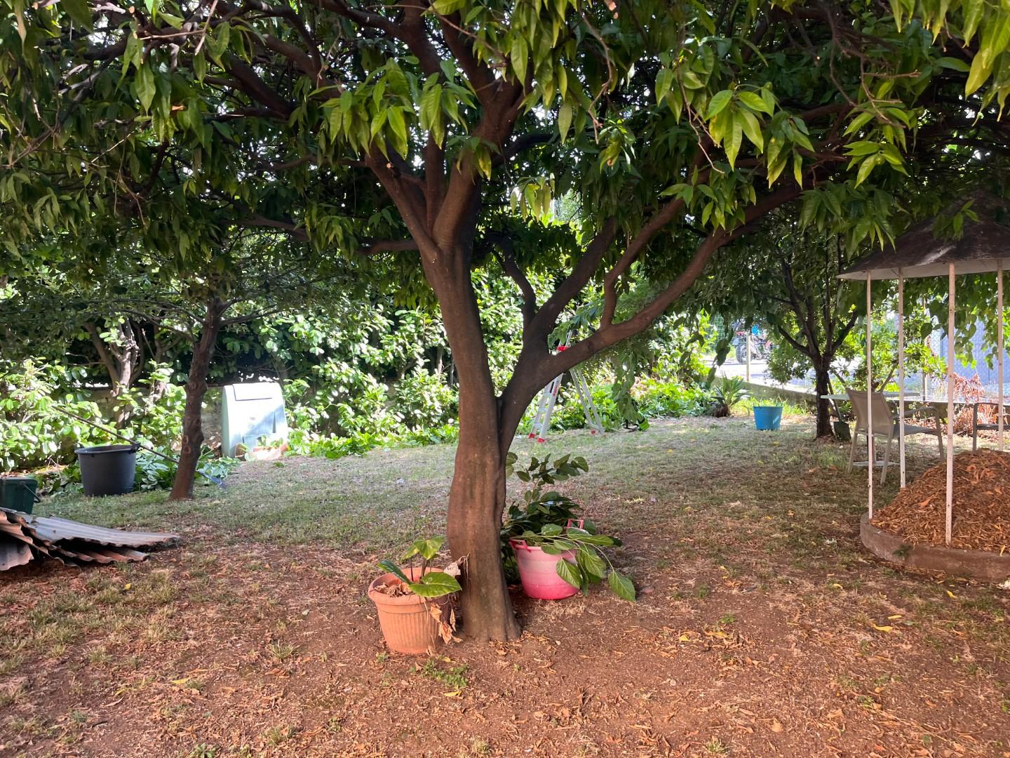Casa indipendente con giardino, Seravezza ripa