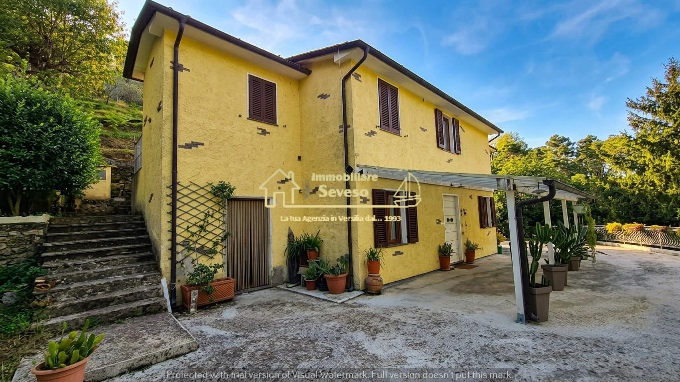 Casa indipendente con giardino, Pietrasanta strettoia