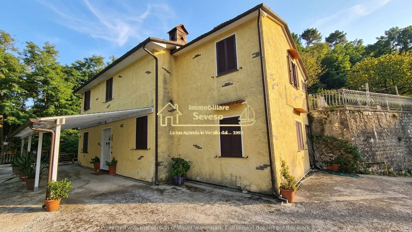 Casa indipendente con giardino, Pietrasanta strettoia