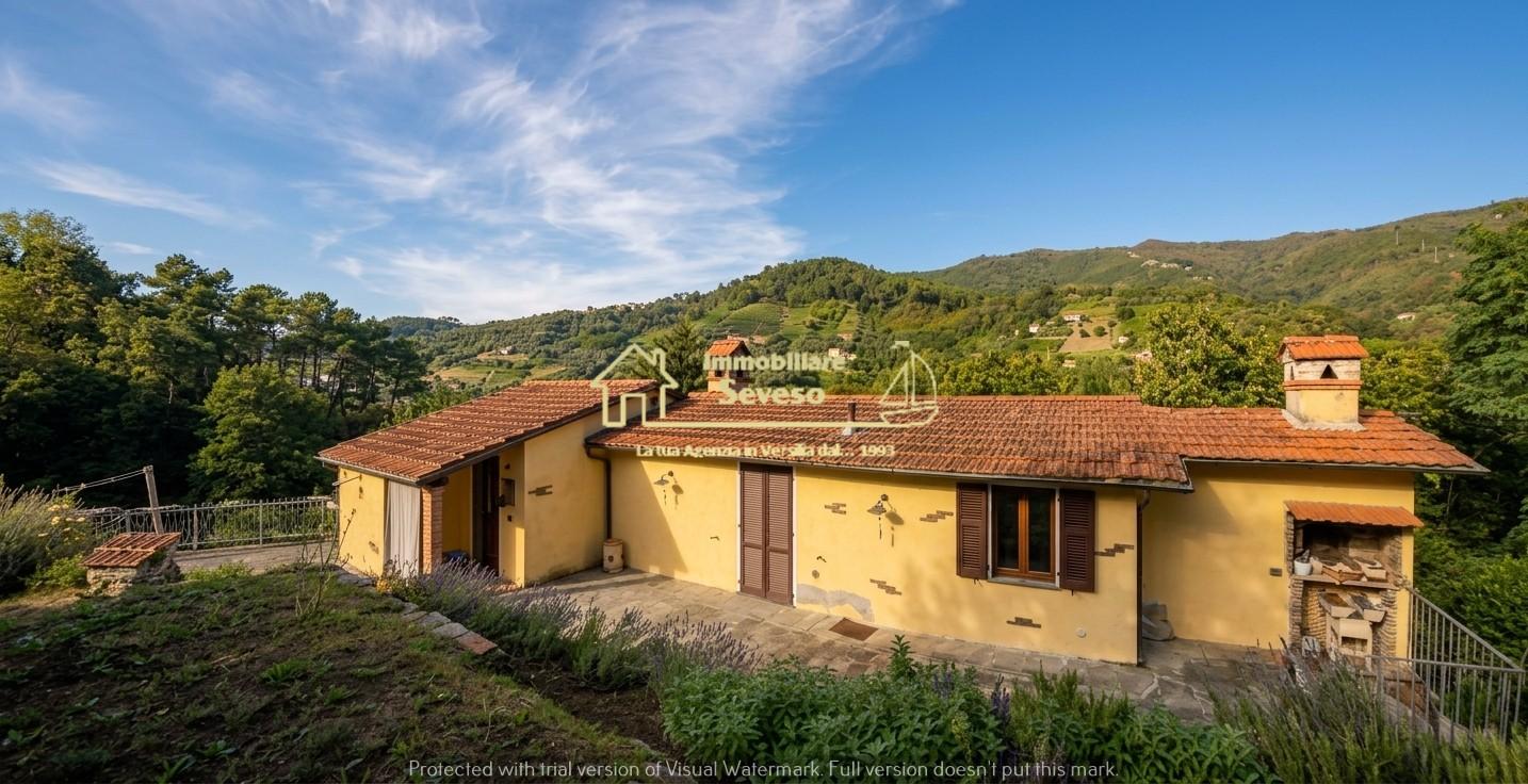 Casa indipendente con giardino, Pietrasanta strettoia