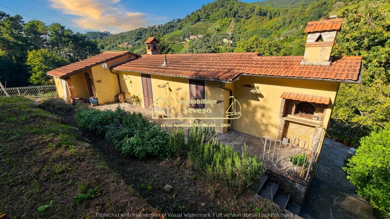 Casa indipendente con giardino, Pietrasanta strettoia