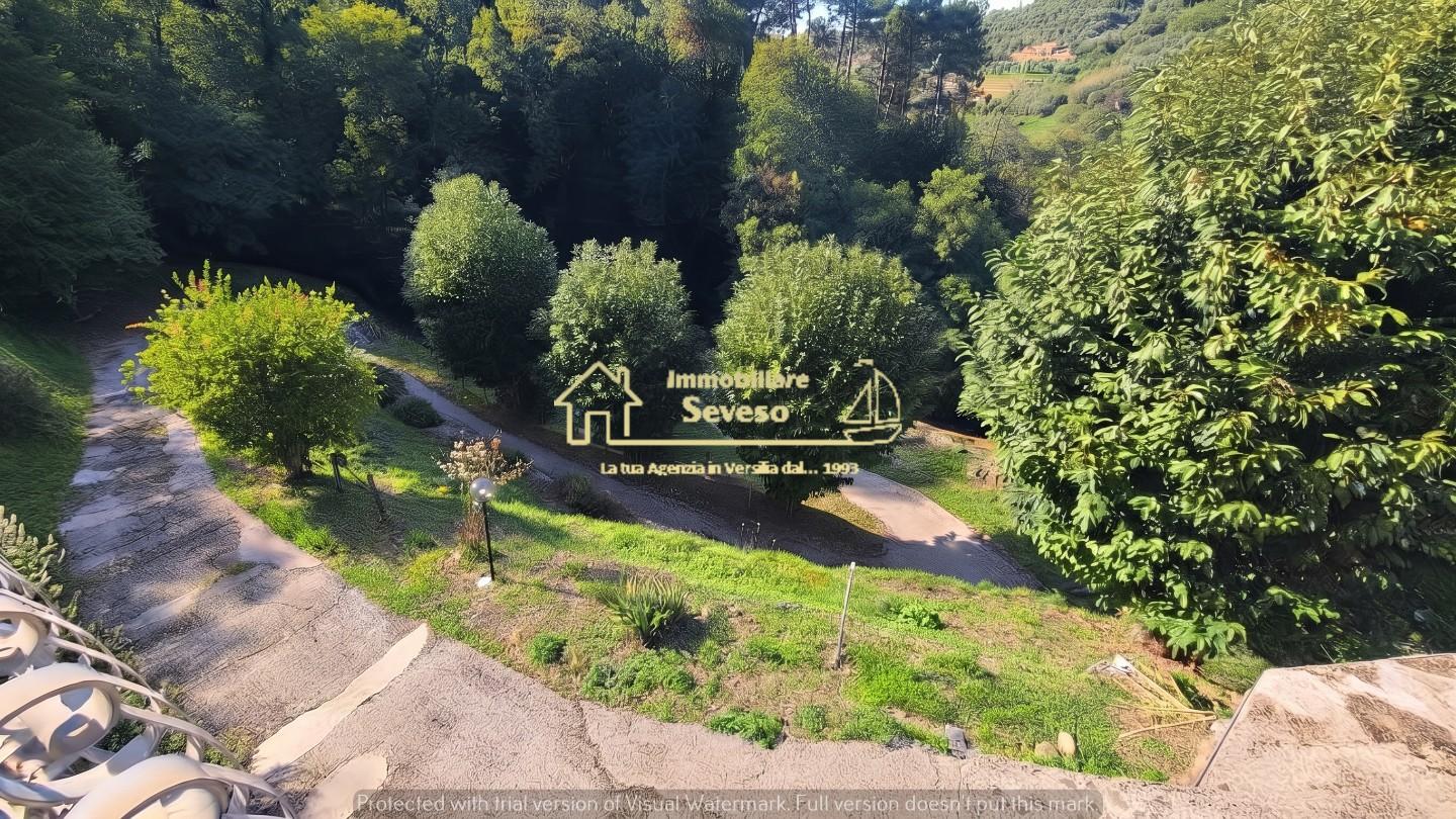 Casa indipendente con giardino, Pietrasanta strettoia
