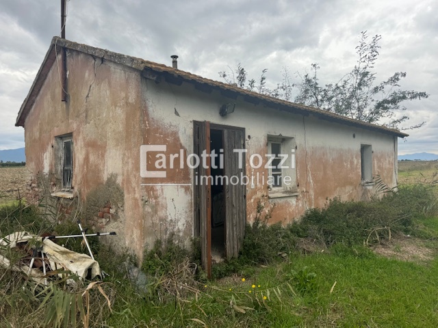 Capannone con giardino in strada squartapaglia, Grosseto