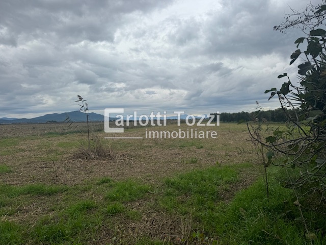 Capannone con giardino in strada squartapaglia, Grosseto