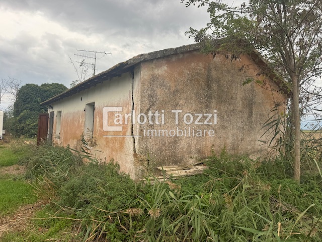 Capannone con giardino in strada squartapaglia, Grosseto