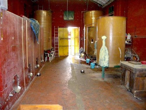Attivit commerciale con giardino a Ziano Piacentino