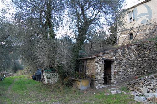 immagine annuncio 1 di 8