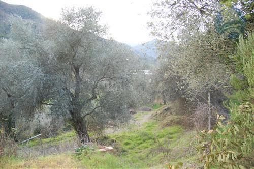 immagine annuncio 5 di 8