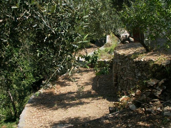 immagine annuncio 5 di 6