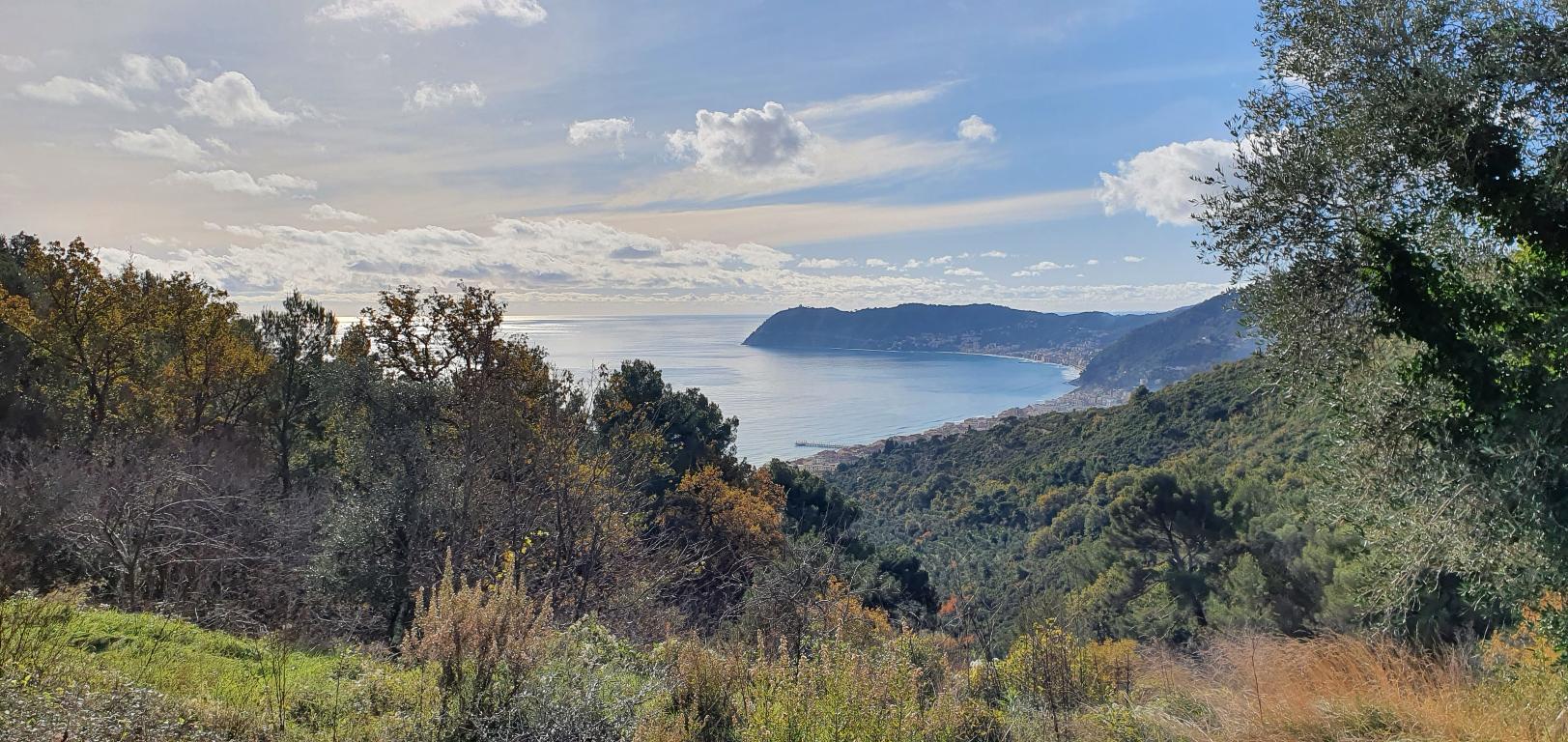 immagine annuncio 1 di 2