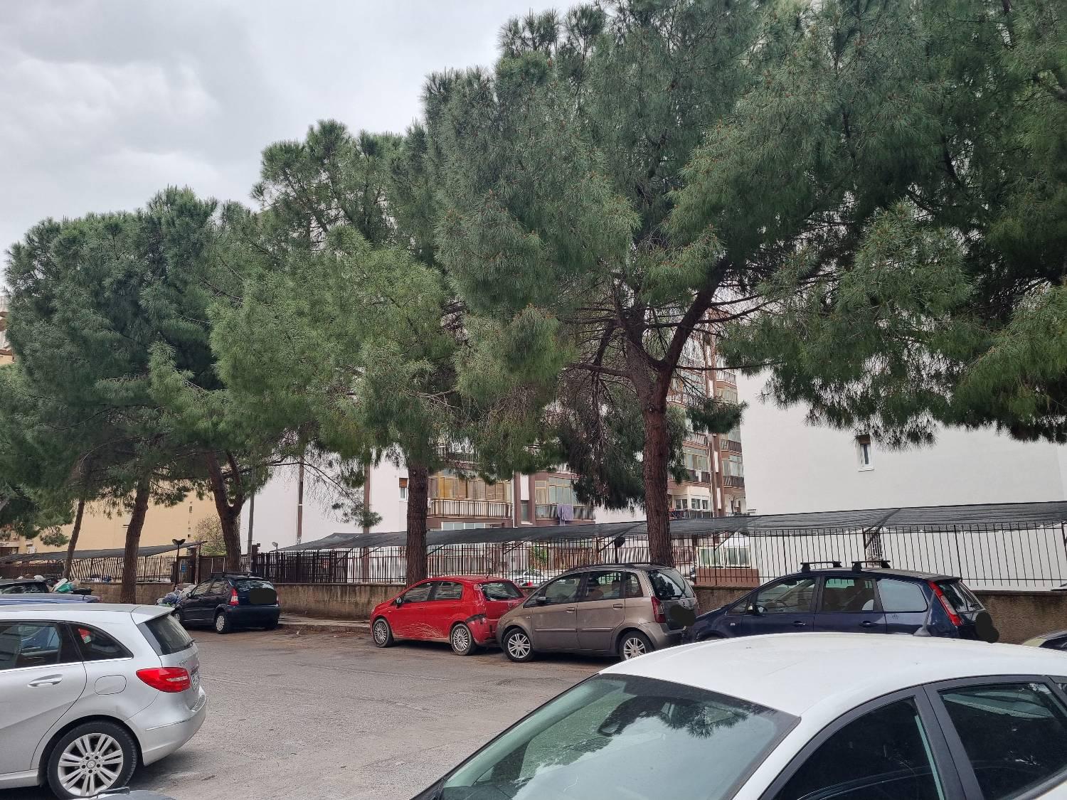 Box/Garage 19mq in vendita a Palermo
