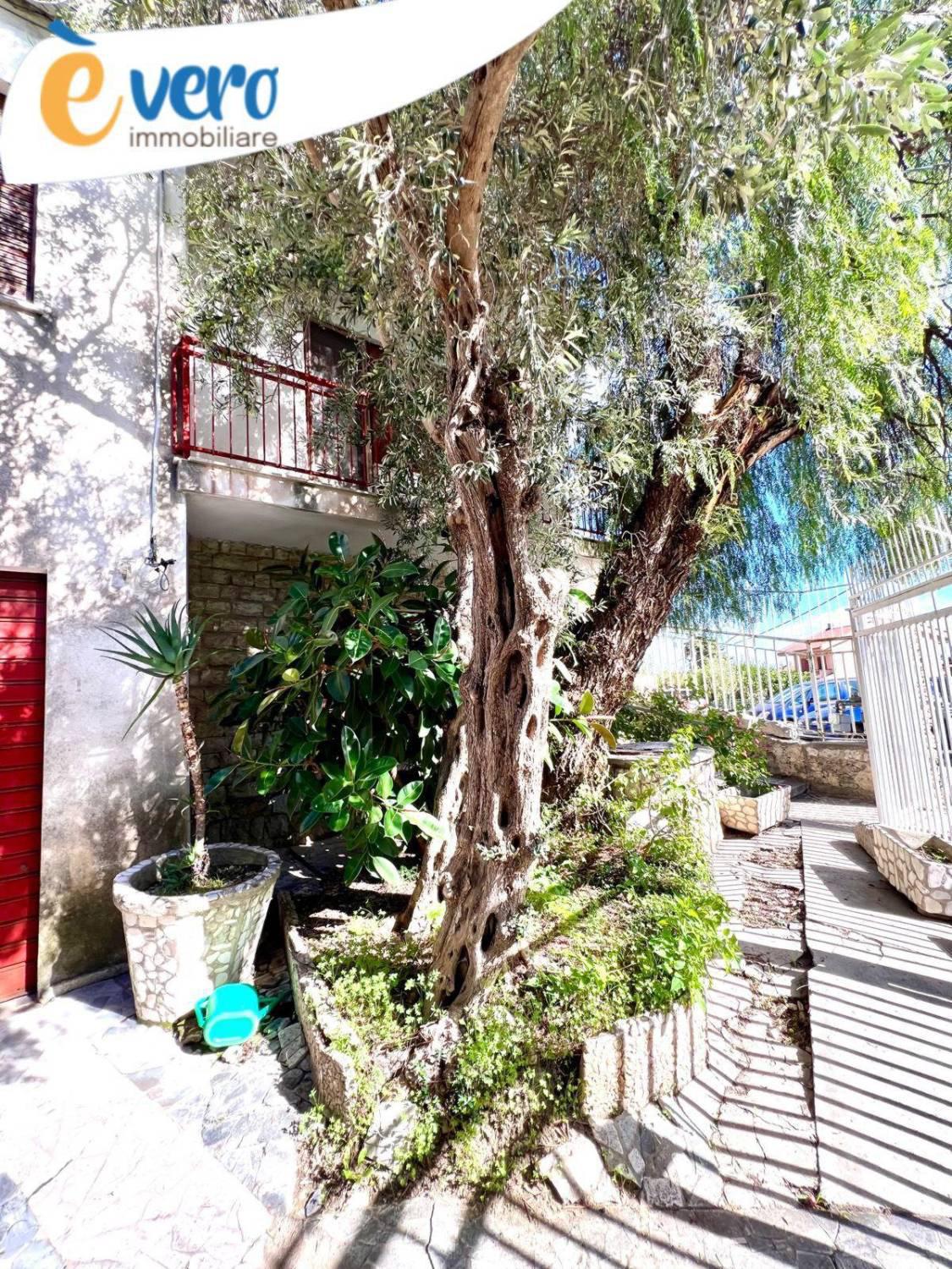 Villa con giardino a Palermo