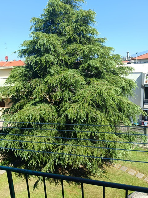 Loft arredato in affitto a Firenze