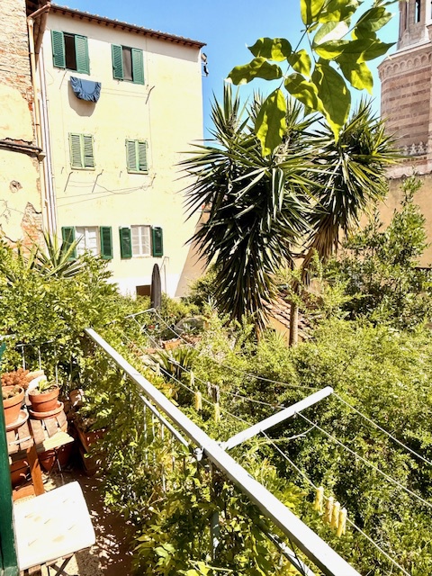 Appartamento in affitto a Firenze