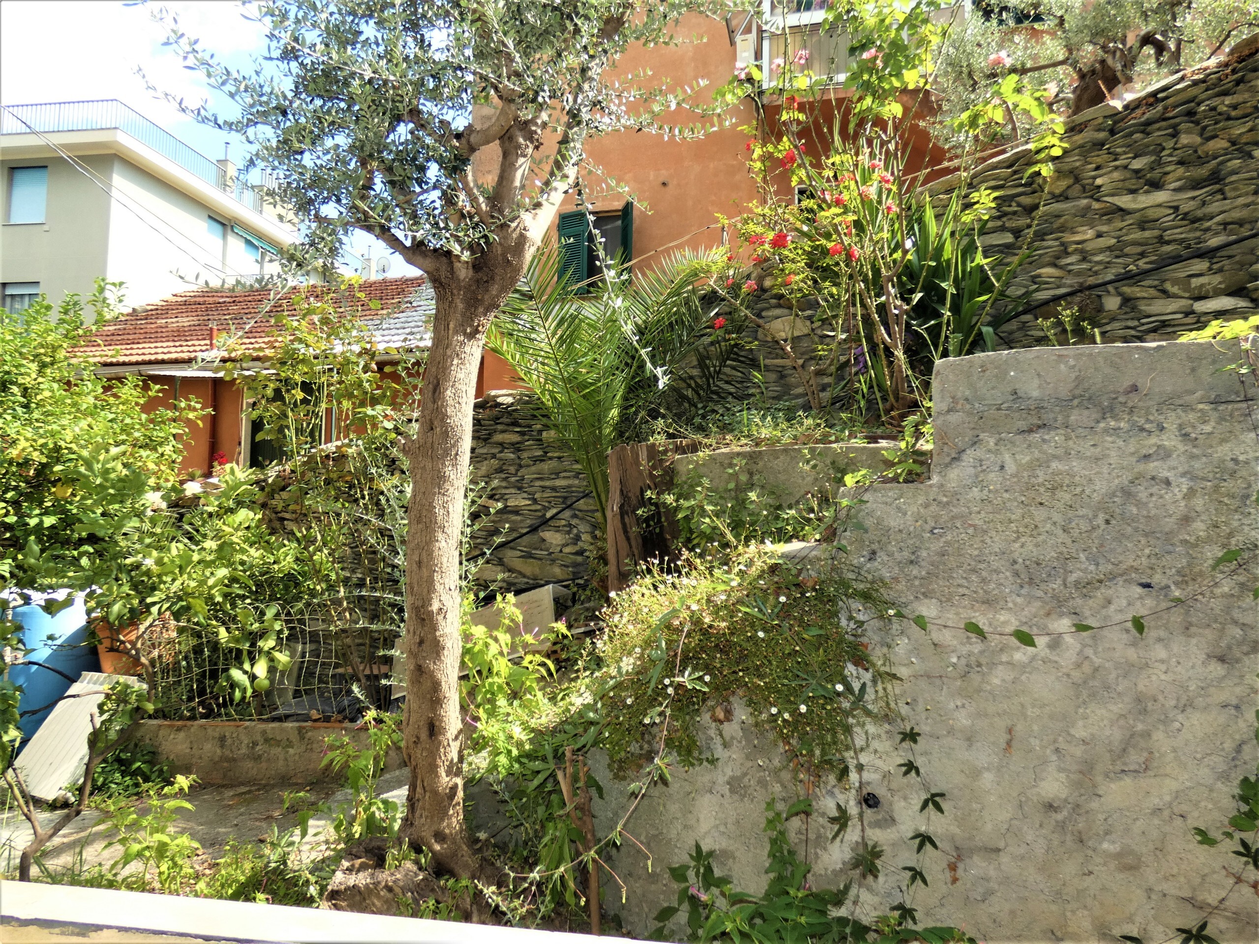 Appartamento in affitto in via del commercio, Genova