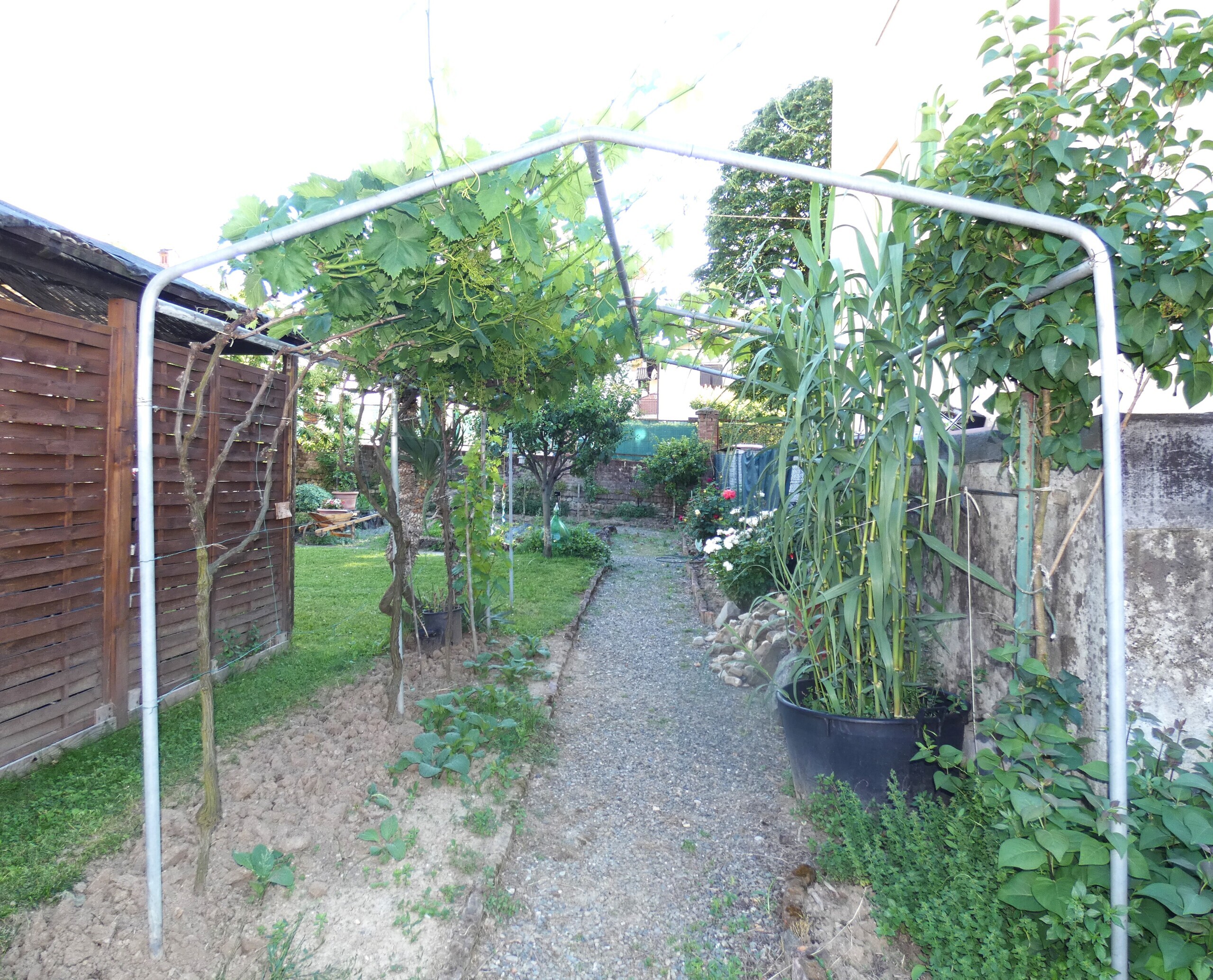 Casa indipendente con giardino in via san giovanni, Arquata Scrivia