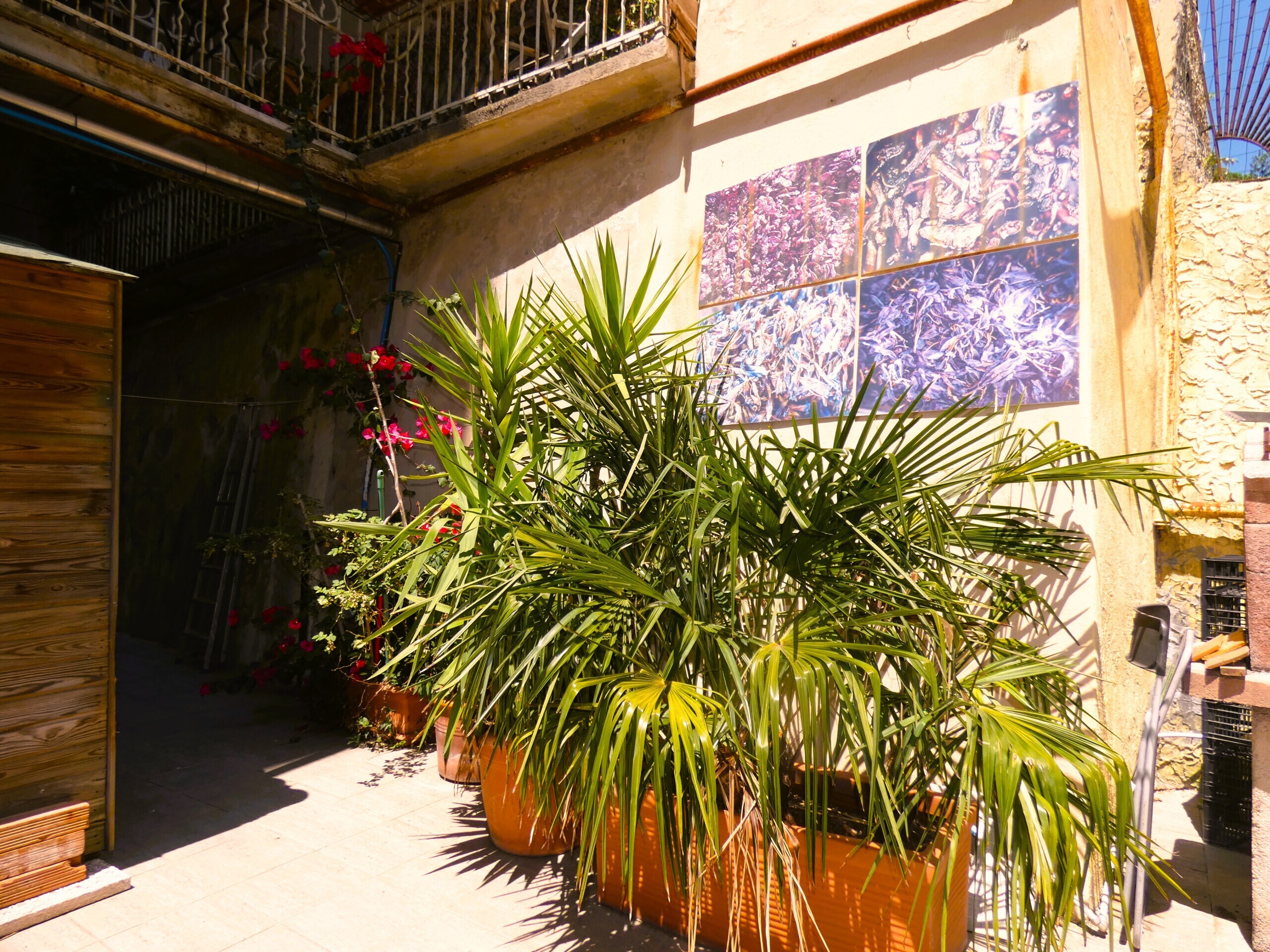 Appartamento con terrazzo in via caffaro 32a, Genova