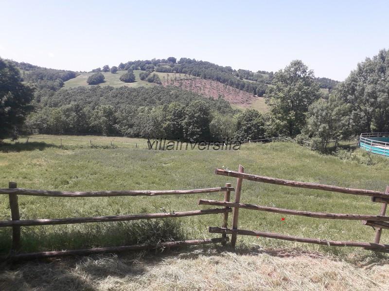 Terreno Agricolo in vendita a Roccalbegna