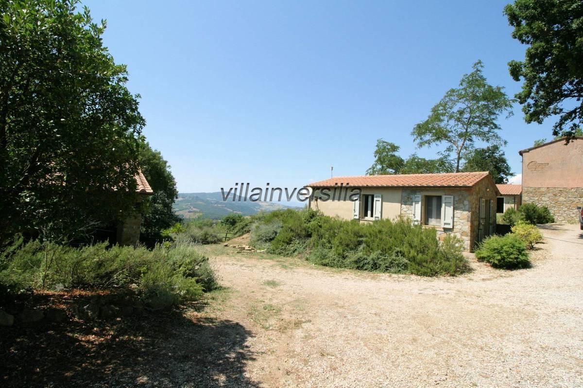 Terreno Agricolo in vendita a Scansano
