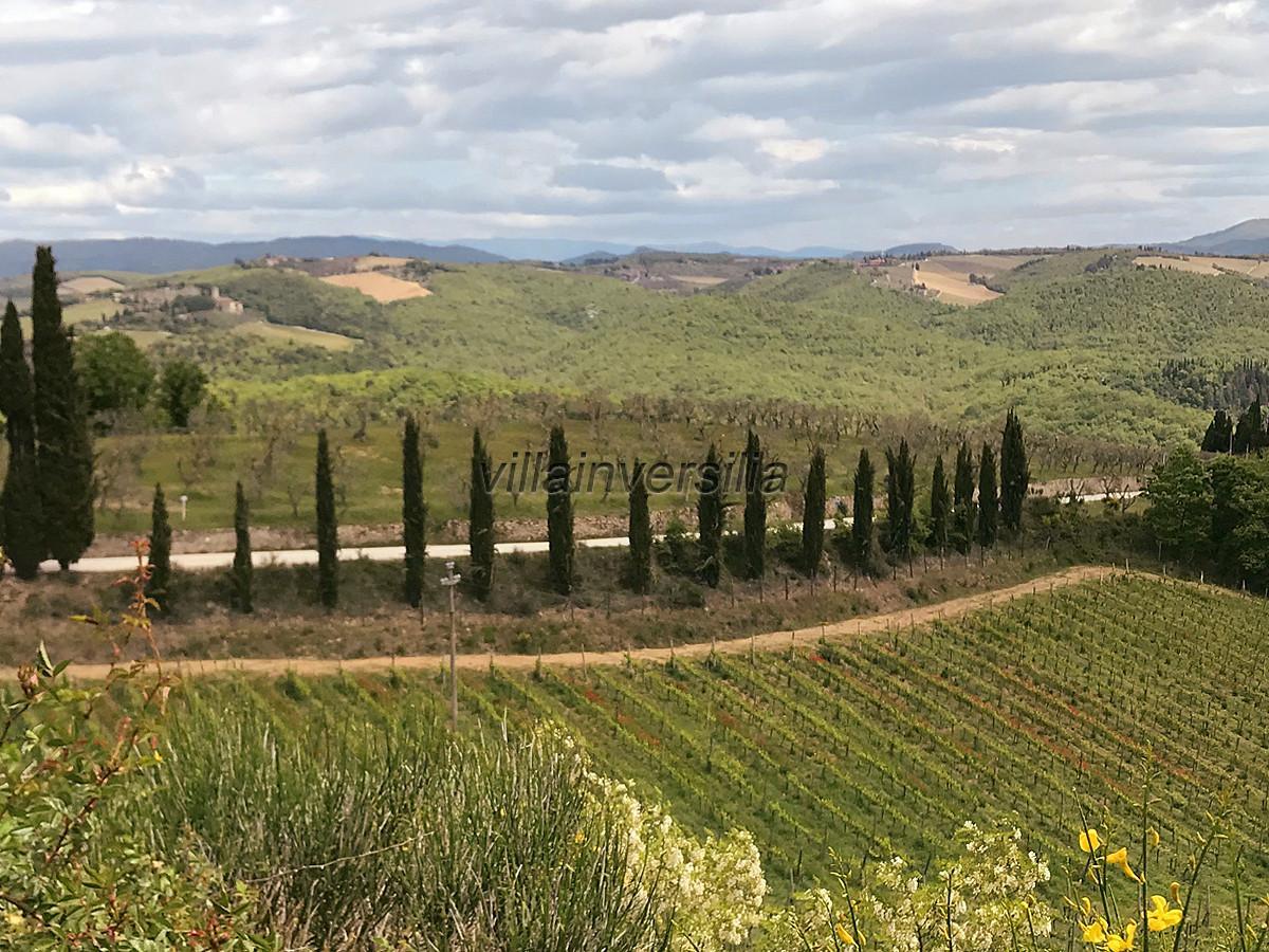 Terreno Agricolo in vendita a Rapolano Terme