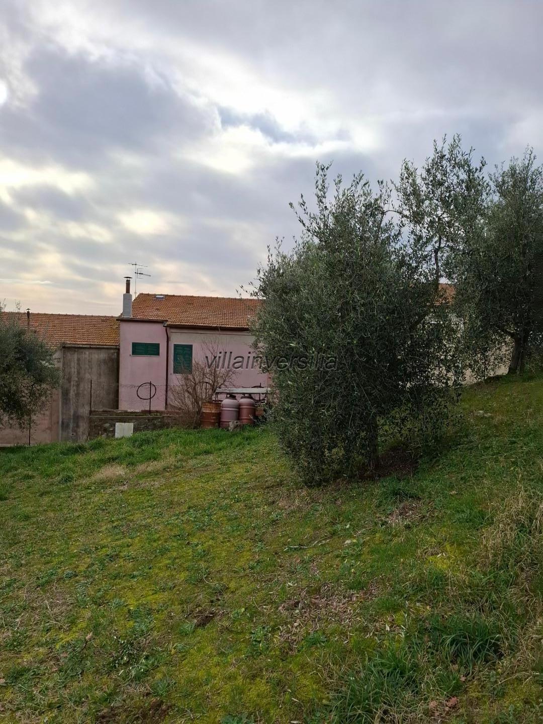 Casa indipendente con giardino a Magliano in Toscana